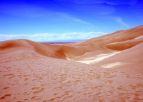 raluphoto002004.jpg